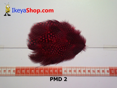 bulu PAD motif PMD 2   feather  large2